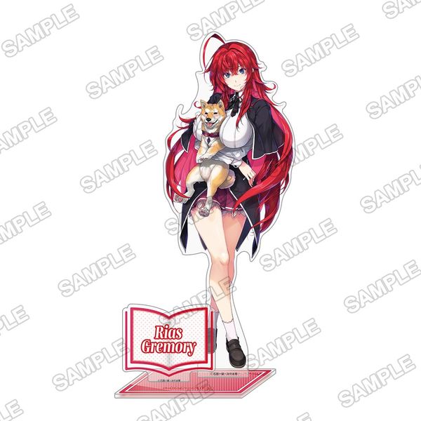 ���C�g�m�x���W2025 BIG�A�N�����t�B�M���A �n�C�X�N�[��D×D