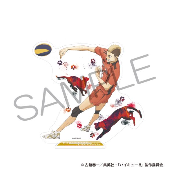 �yJF2026����̔��z �n�C�L���[!! �A�N�����X�^���h �S�~�̂ď�̌���ver. �R�{�Ҍ�