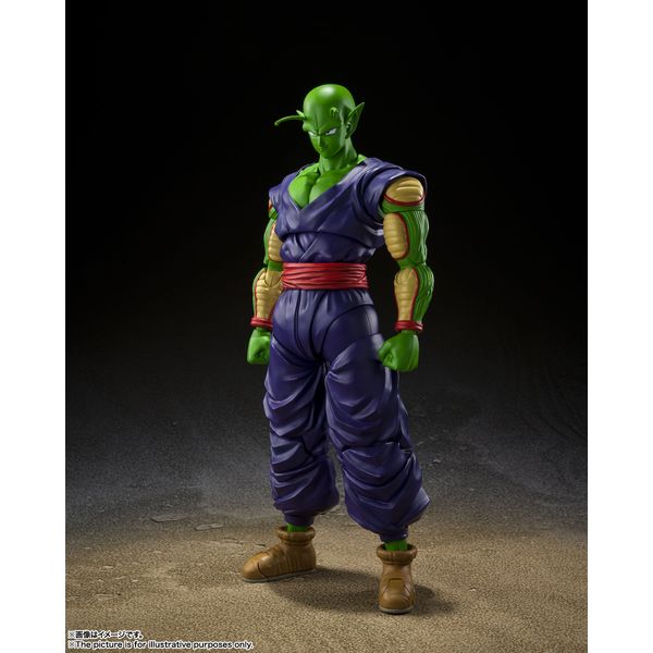 �h���S���{�[���� �X�[�p�[�q�[���[ S.H.Figuarts �s�b�R�� SUPER HERO�i�Ĕ̔Łj