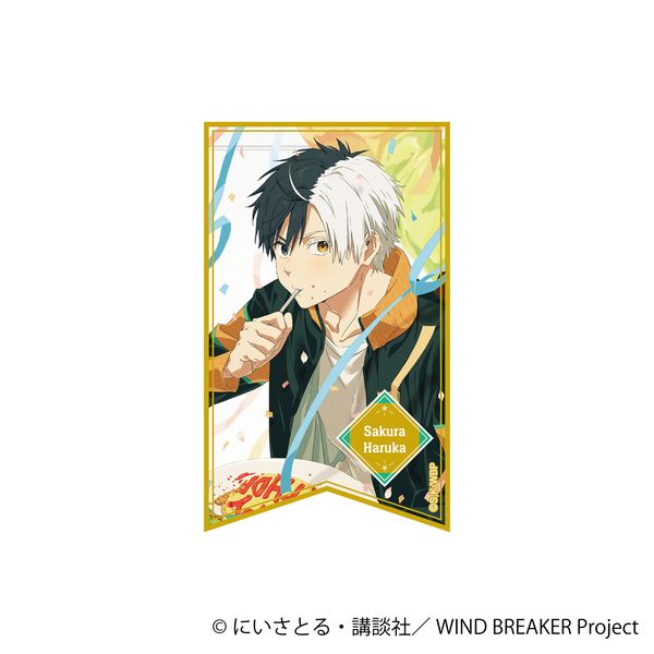 WIND BREAKER �z���X�e�b�J�[ ���y