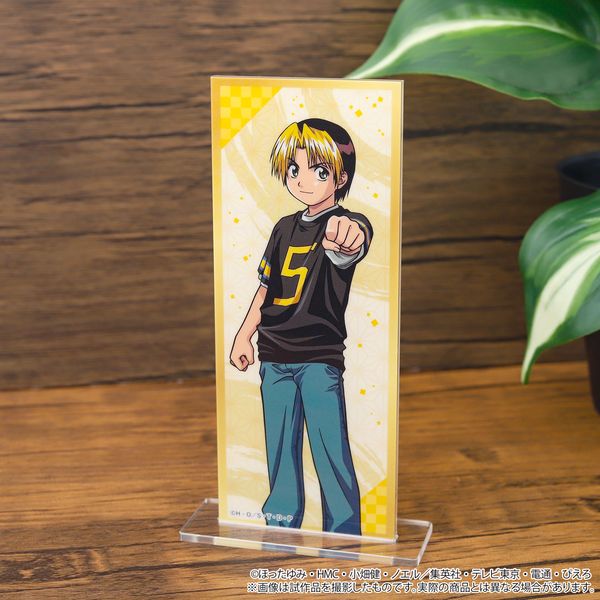 �q�J���̌� �q���雠���A�N�����X�^���h Revival �i���q�J��