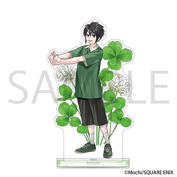 �L���[�e�B�N���T����� �A�N�����X�^���h ���\