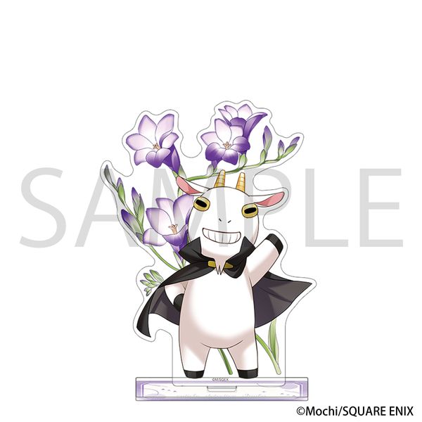 �L���[�e�B�N���T����� �A�N�����X�^���h ���@�����e�B�[�m