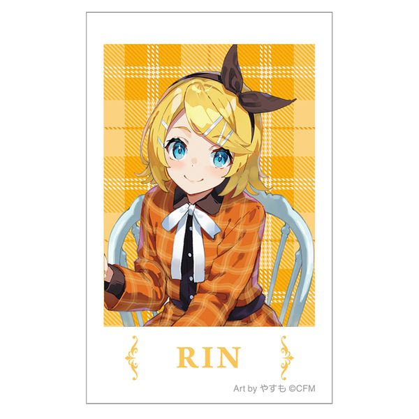 �����~�N�V���[�Y �`�F�L�v�����g ��������