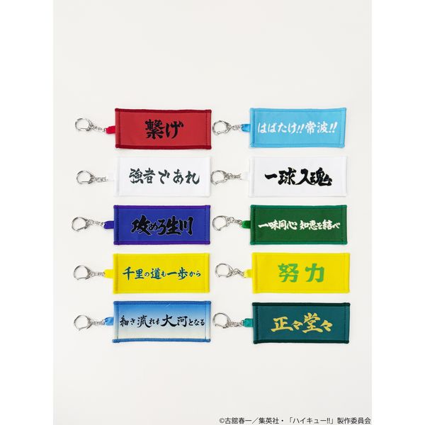 �n�C�L���[!! �g���[�f�B���O�~�j�`���A�^�I���L�[�z���_�[ ���f�� Vol.2 �y1BOX�z