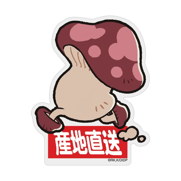 �_���W������ ������ �A�N�����}�O�l�b�g