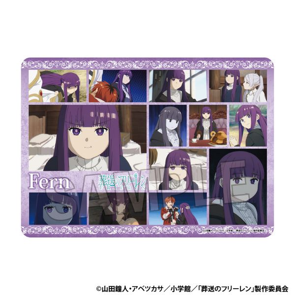 �����̃t���[���� �C���X�g�v���C�}�b�gNT �t�F����2