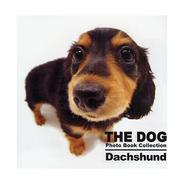 THE@DOG@Photo@Book@Collection@Dachshund [THE DOG Photo Book C]