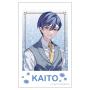 �����~�N�V���[�Y �`�F�L�v�����g KAITO �p�[�e�B�[�h���X Art by �������